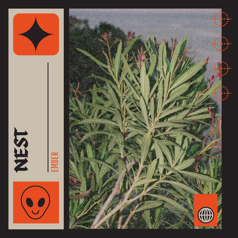 Nest