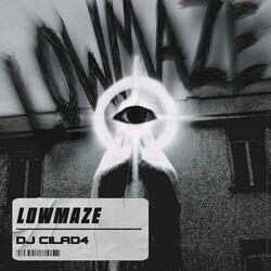 LowMaze