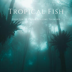 Deep Forest Rain & Rolling Thunder