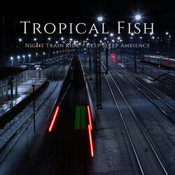 Night Train Ride – Deep Sleep Ambience