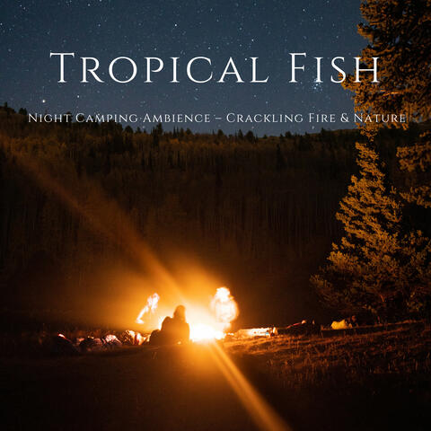 Night Camping Ambience – Crackling Fire & Nature
