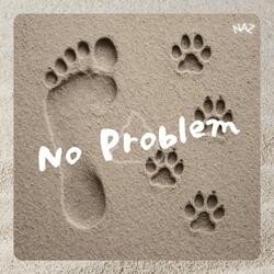 No Problem