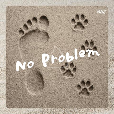 No Problem