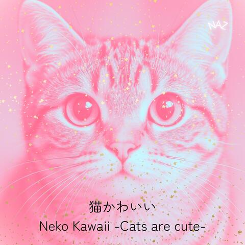 猫かわいい