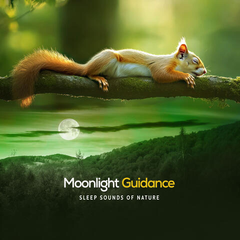 Moonlight Guidance