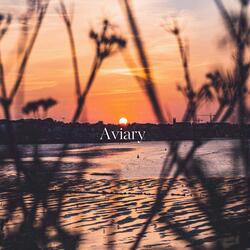 Aviary