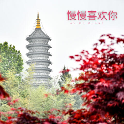 慢慢喜欢你