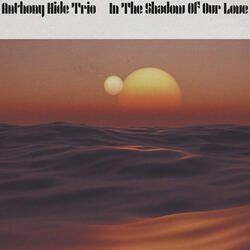 In the Shadow of Our Love