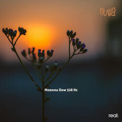 Morning Dew 528 Hz