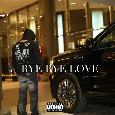 BYE BYE LOVE