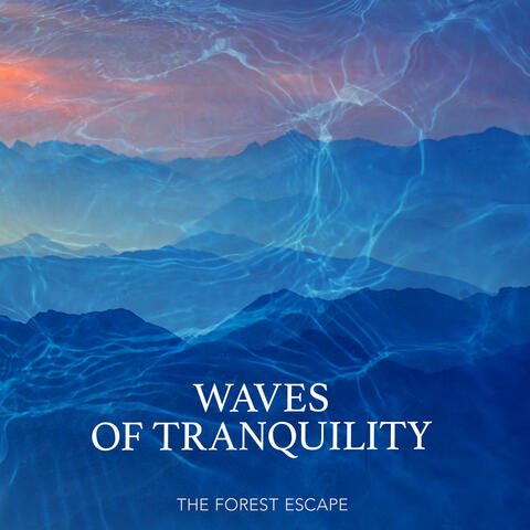 Waves of Tranquility