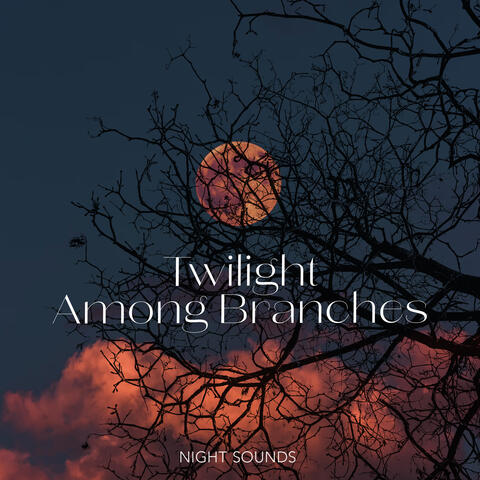 Twilight Among Branches