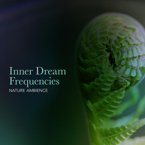 Inner Dream Frequencies