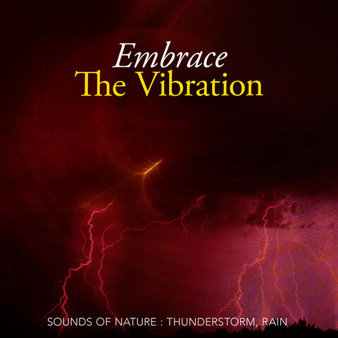Embrace The Vibration