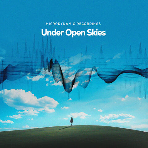 Under Open Skies