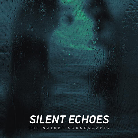 Silent Echoes