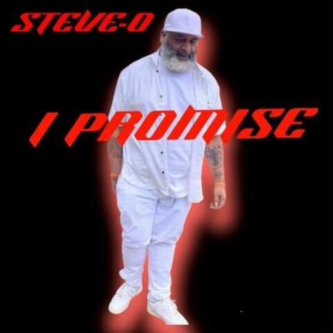 I  PROMISE