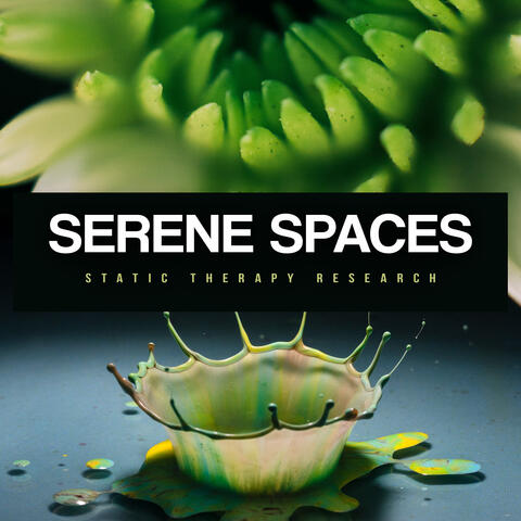 Serene Spaces