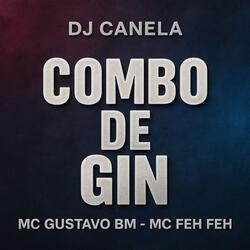 COMBO DE GIN