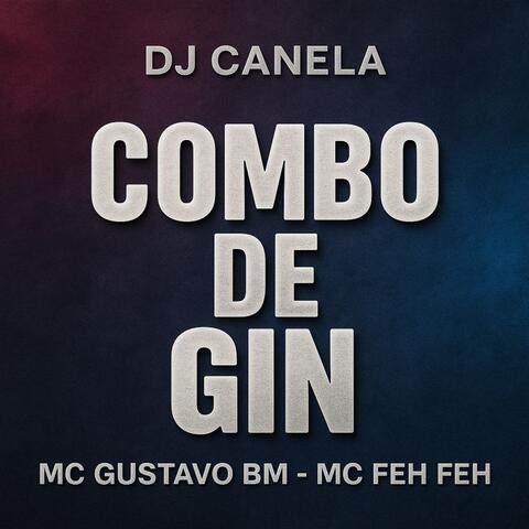 COMBO DE GIN