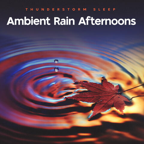 Ambient Rain Afternoons
