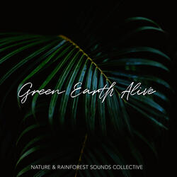 Blissful Woodland Sanctuary