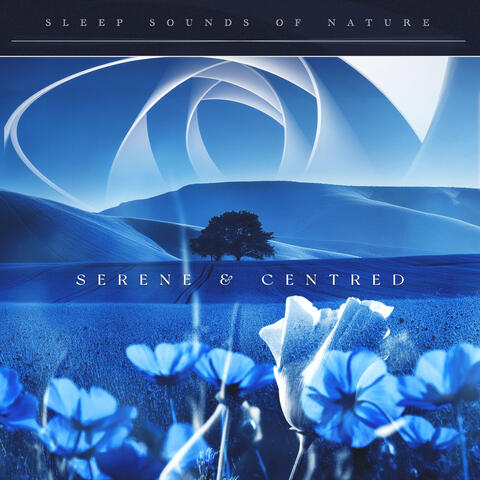 Serene & Centred