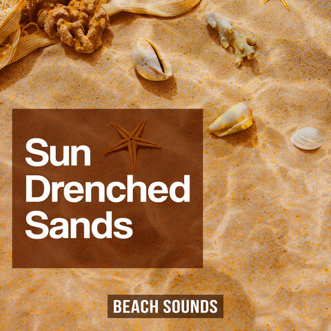 Sun Drenched Sands