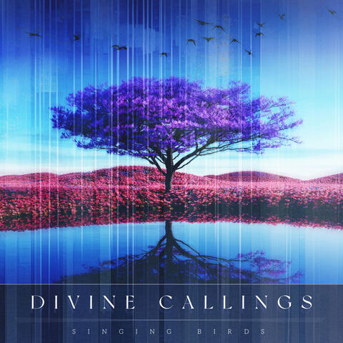 Divine Callings