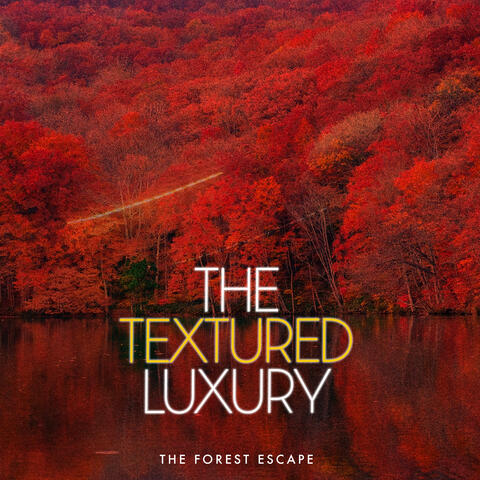The Textured Luxury