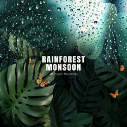 Rainforest Monsoon