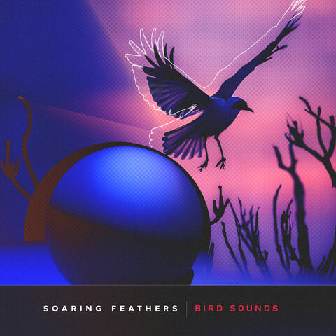 Soaring Feathers