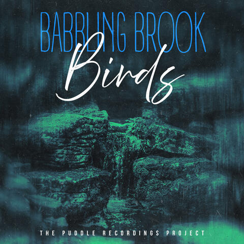 Babbling Brook Birds