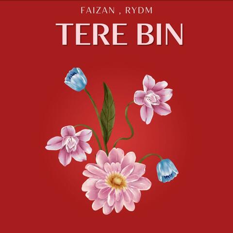 Tere bin