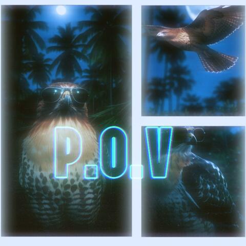 P.O.V