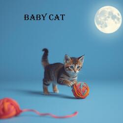 baby cat