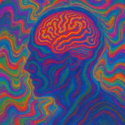 Thoughts Inside My Brain