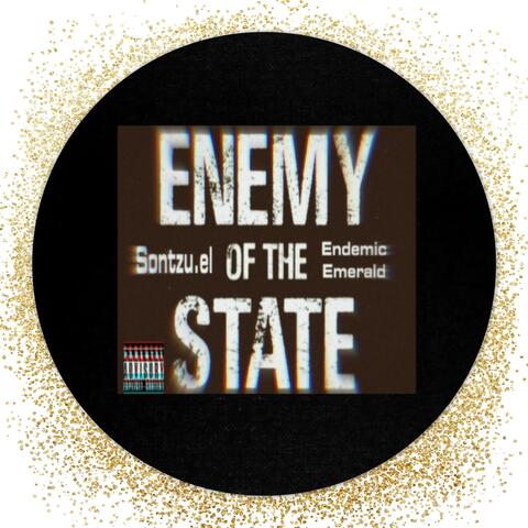 Enemy Of The State