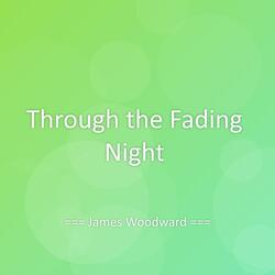 Through the Fading Night