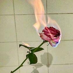 Struggles Of My Life (Instrumental)