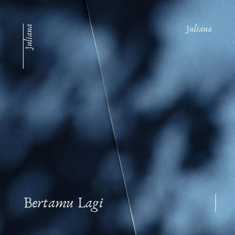 Bertamu Lagi