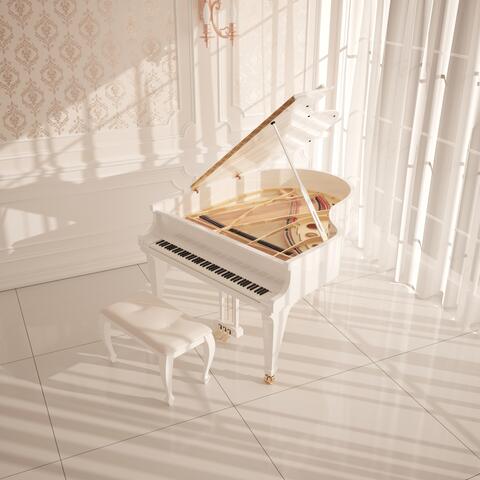 Masterpiece classic PIANO for healing luxury time