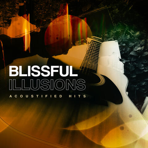 Blissful Illusions