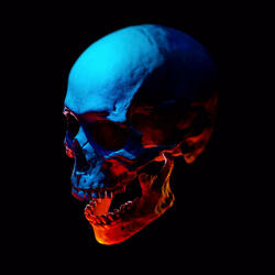 Black Hearse