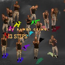 13 Steps