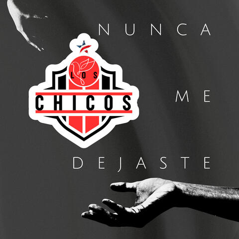 Nunca Me Dejaste
