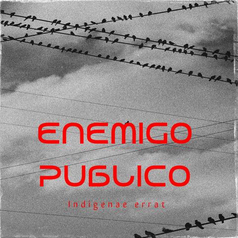Enemigo publico