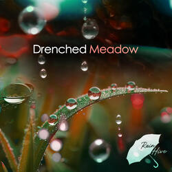 Rain in the Breeze