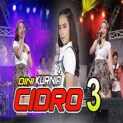 Cidro 3