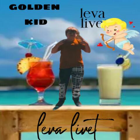leva livet